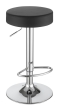 Coaster Ramses 29