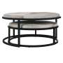 Classic Home Hayword Hide Set of 2 Nesting Coffee Tables Sparrow Gray Model 51011686
