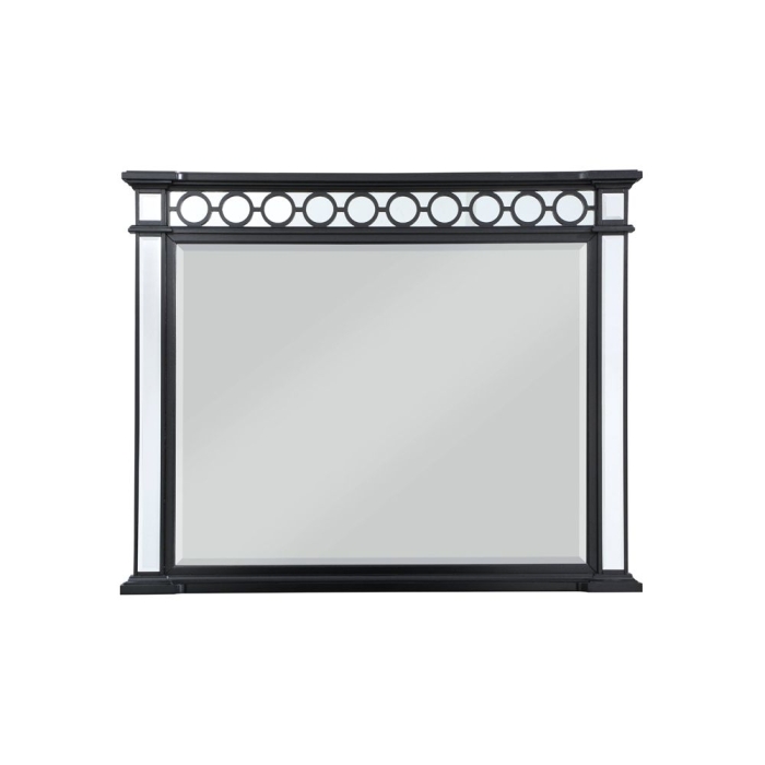 ACME Varian II Mirror Model BD00586